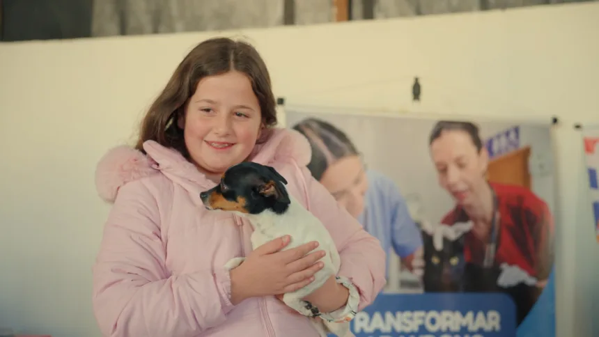 ‘Julho Dourado’: Prefeitura promove vacinação de cães e gatos em Iguatemi