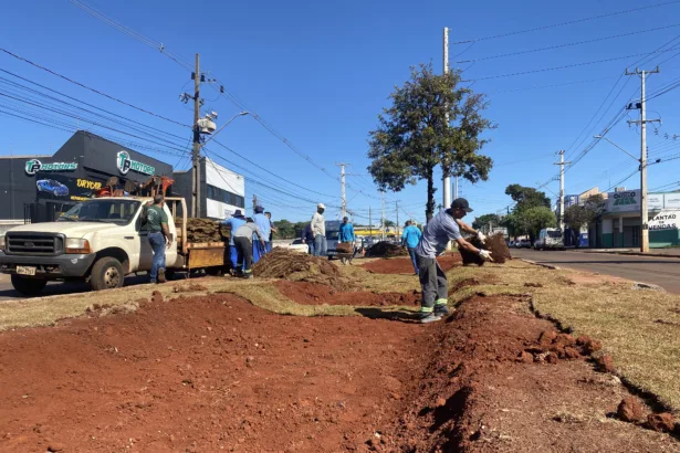 Prefeitura executa nova intervenção de drenagem na Avenida Morangueira para reforçar sistema de escoamento de águas pluviais