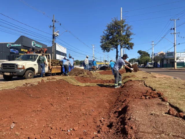Prefeitura executa nova intervenção de drenagem na Avenida Morangueira para reforçar sistema de escoamento de águas pluviais