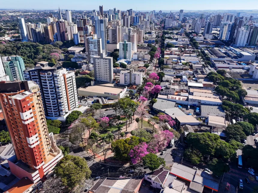 Rotatória da Praça Rocha Pombo