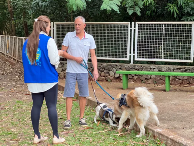 Secretaria de Proteção e Bem-Estar Animal de Maringá orienta tutores sobre uso de guia e guarda responsável em ação no Parque Buracão