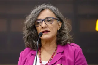 Vereadora Professora Ana Lúcia