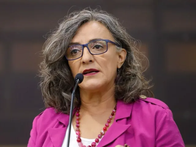 Vereadora Professora Ana Lúcia