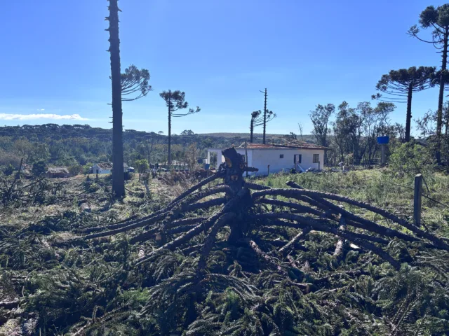 tornado da categoria F2 atingiu o município de Reserva