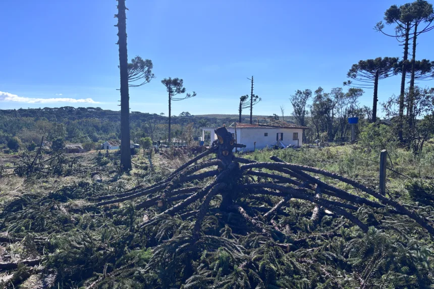 tornado da categoria F2 atingiu o município de Reserva