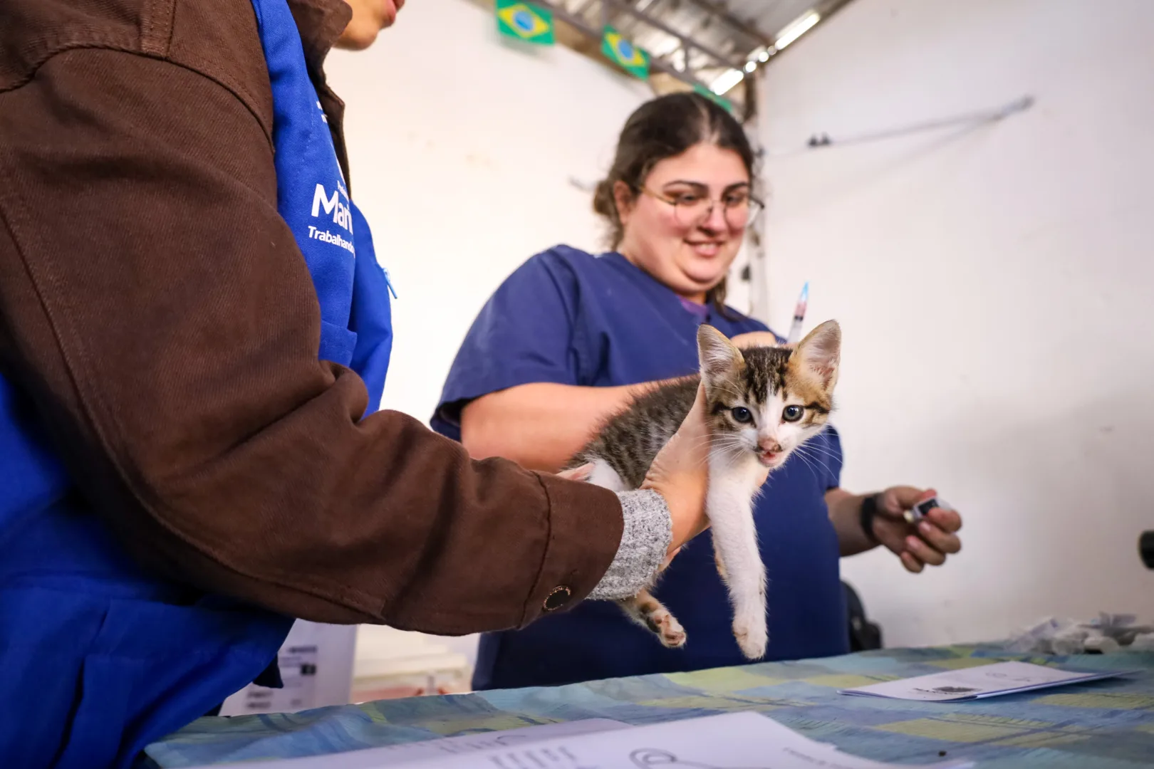 ‘Julho Dourado’: Prefeitura promove vacinação de cães e gatos em Iguatemi 20 ‘Julho Dourado’: Prefeitura promove vacinação de cães e gatos em Iguatemi