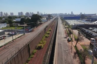 recapeamento asfáltico da Avenida Horácio Raccanello Filho
