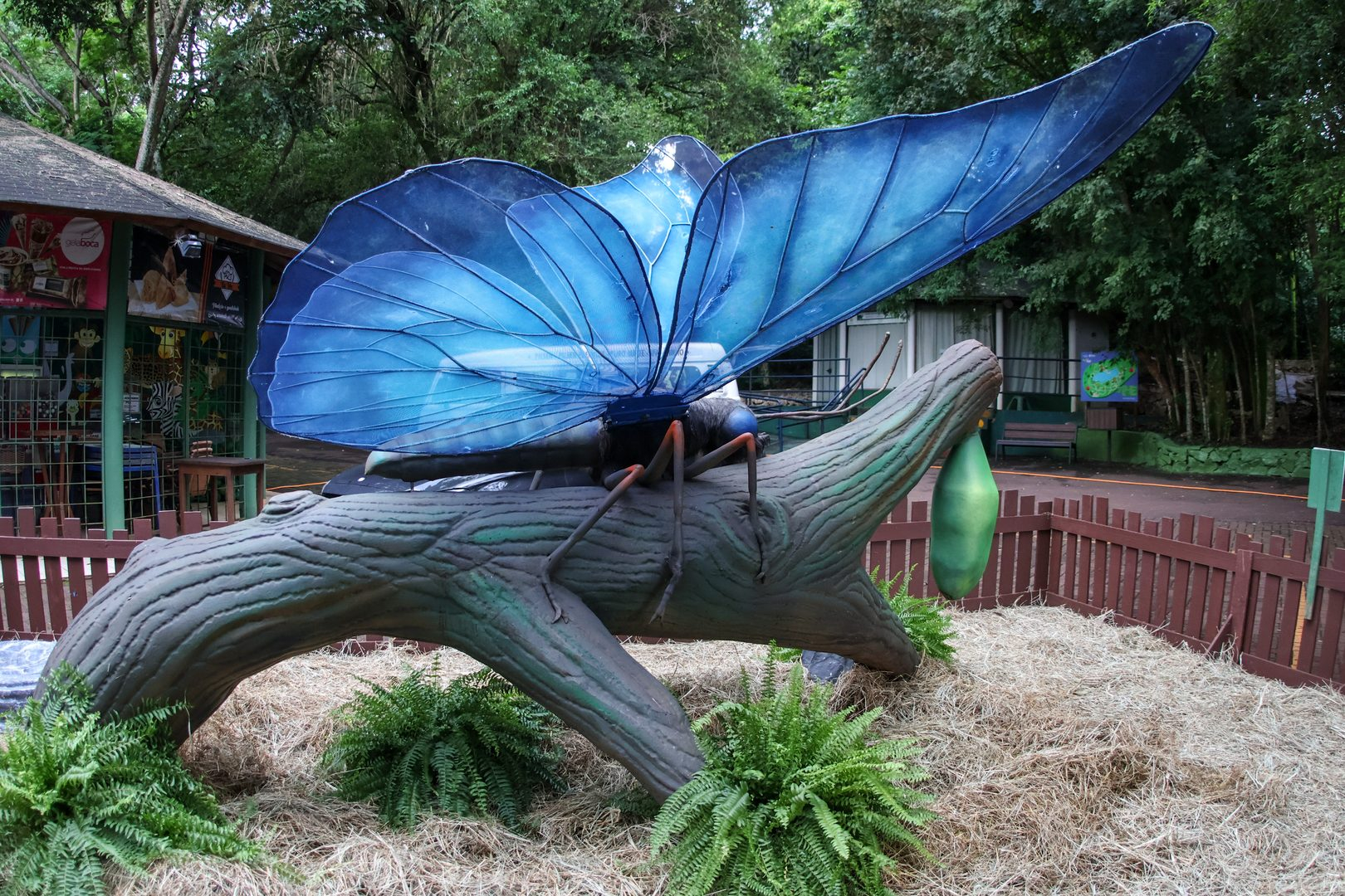 Exposição Primavera Encantada no Parque do Ingá