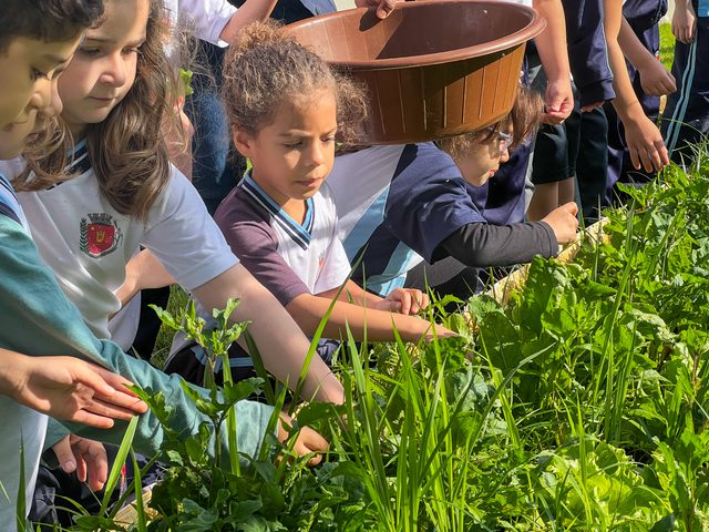Projeto ‘Hortas Educacionais’ incentiva práticas sustentáveis e alimentação saudável para crianças da rede municipal de ensino