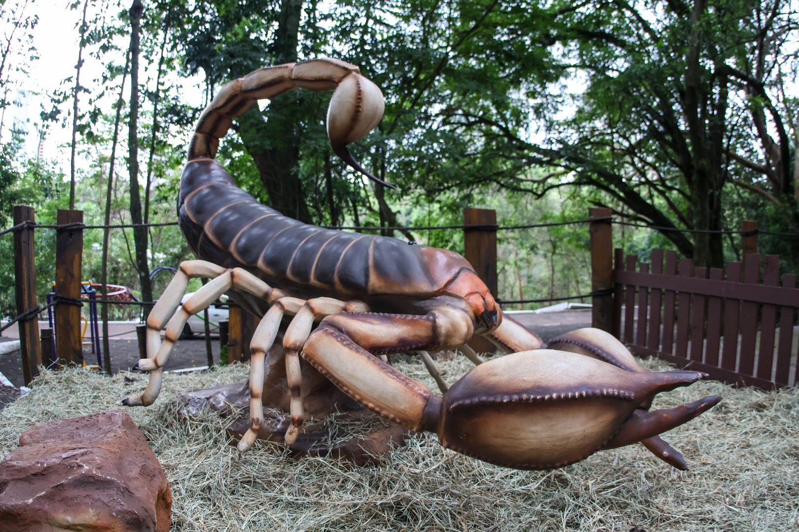 Exposição Primavera Encantada no Parque do Ingá