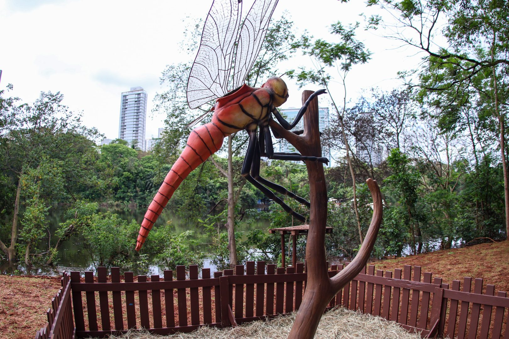 Exposição Primavera Encantada no Parque do Ingá