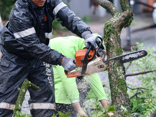 Prefeitura de Maringá mobiliza cerca de 300 servidores para recuperar áreas atingidas por temporal