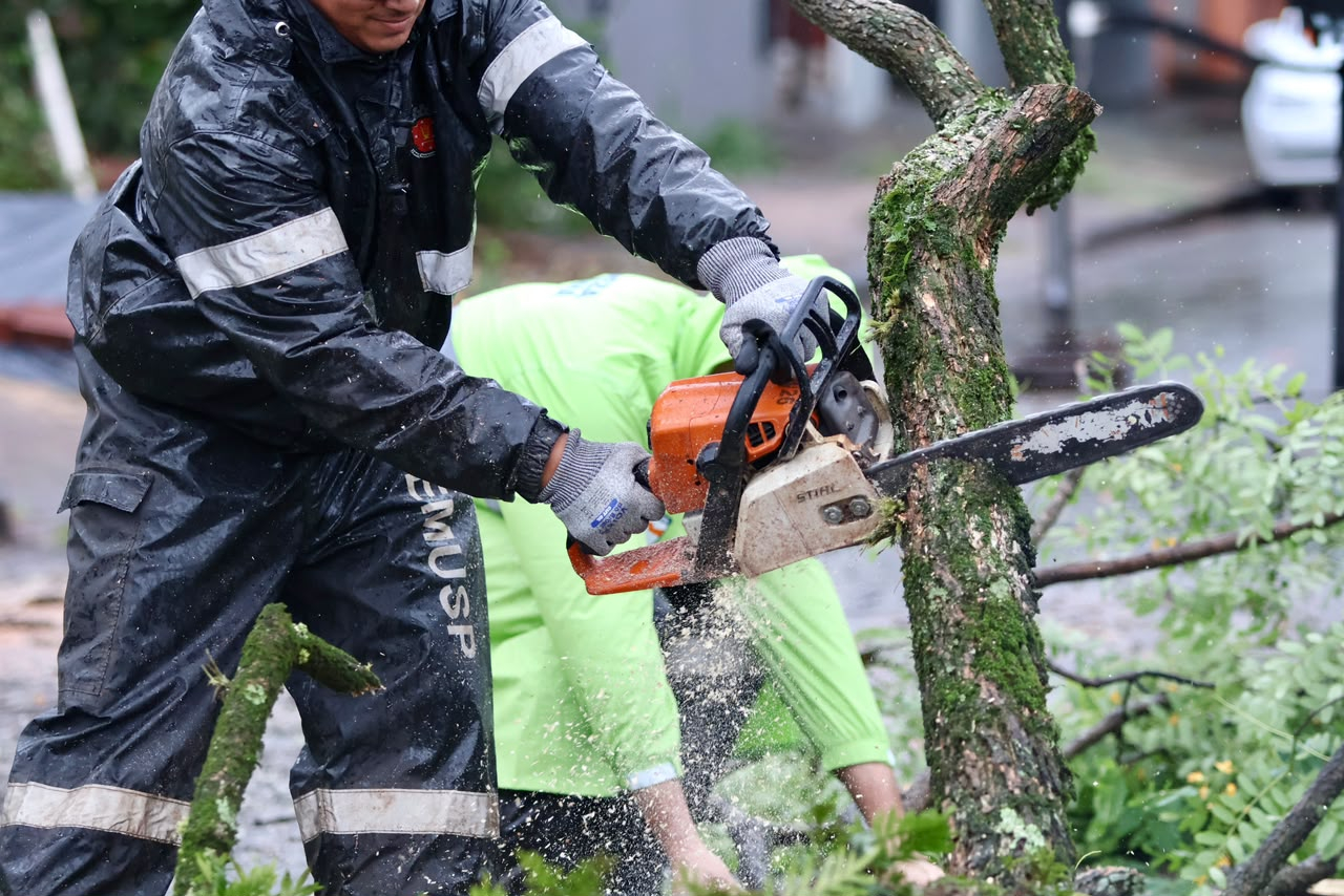 Prefeitura de Maringá mobiliza cerca de 300 servidores para recuperar áreas atingidas por temporal