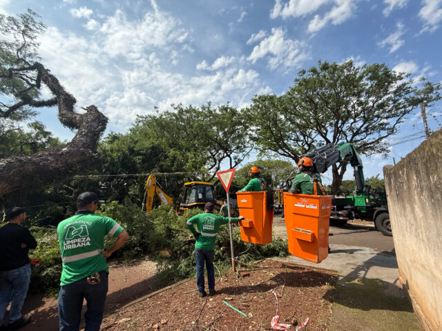 Recuperação de áreas atingidas em Maringá após temporal