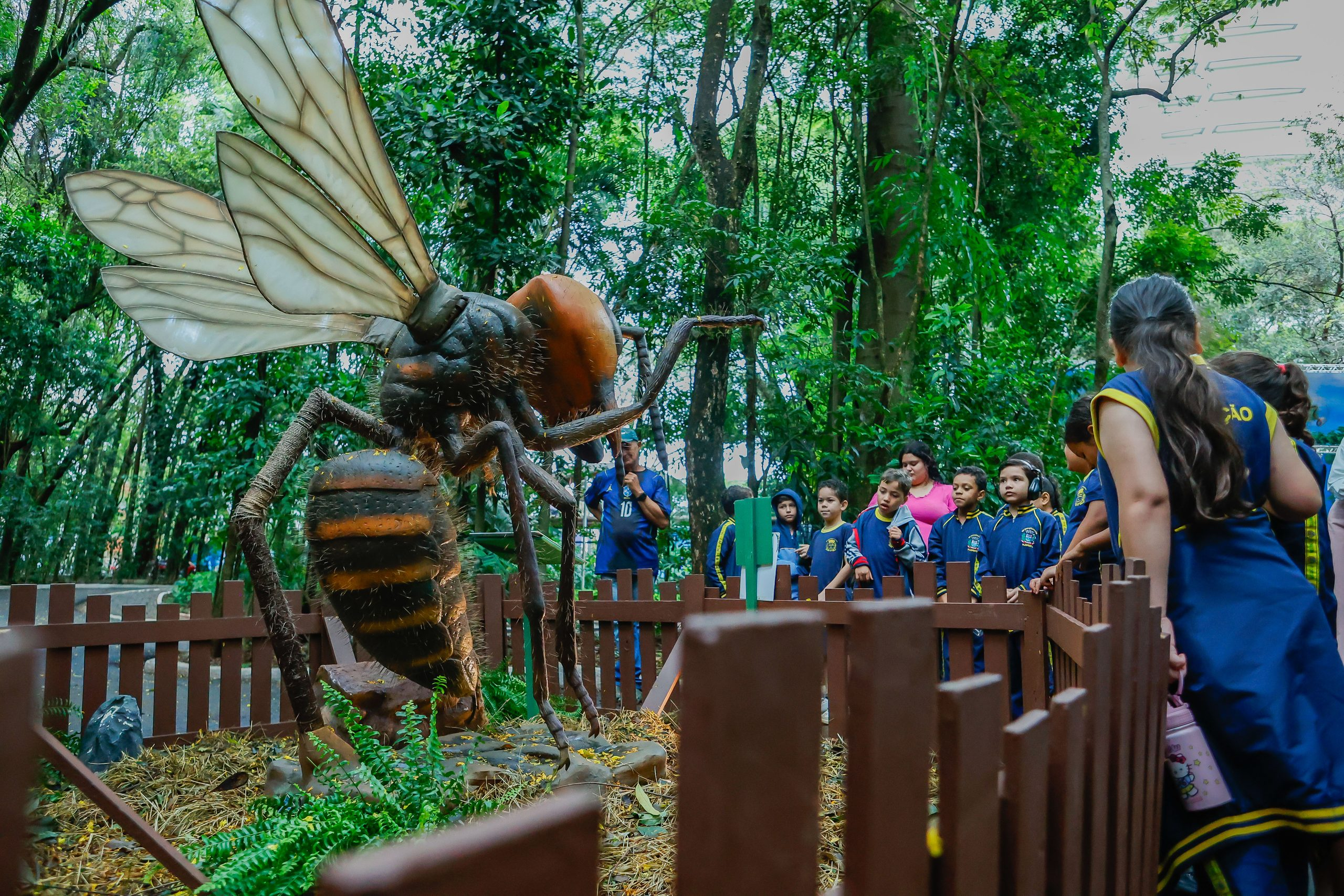 Pessoas com deficiência conhecem Exposição ‘Primavera Encantada: Natureza Gigante’