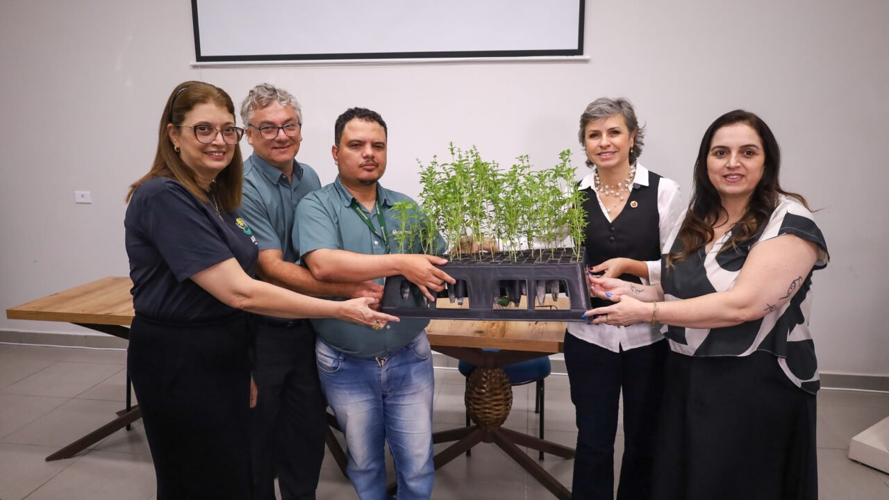 Prefeitura recebe 1,5 mil mudas de essências aromáticas para implantação de jardins sensoriais nos Cmeis