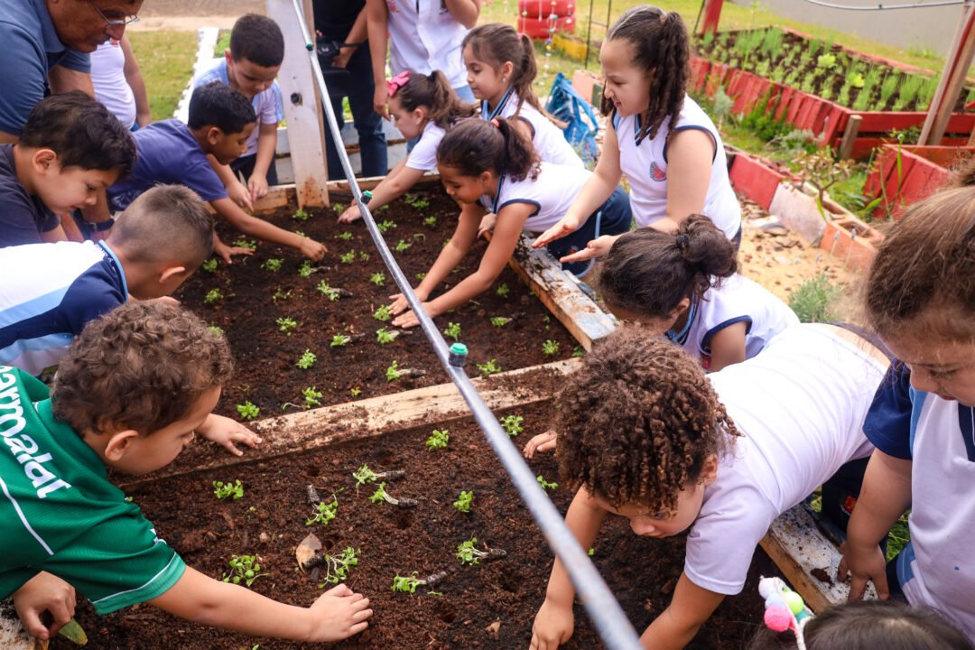 Alunos do Cmei Zilda Arns realizam segundo plantio de hortaliças na horta educacional