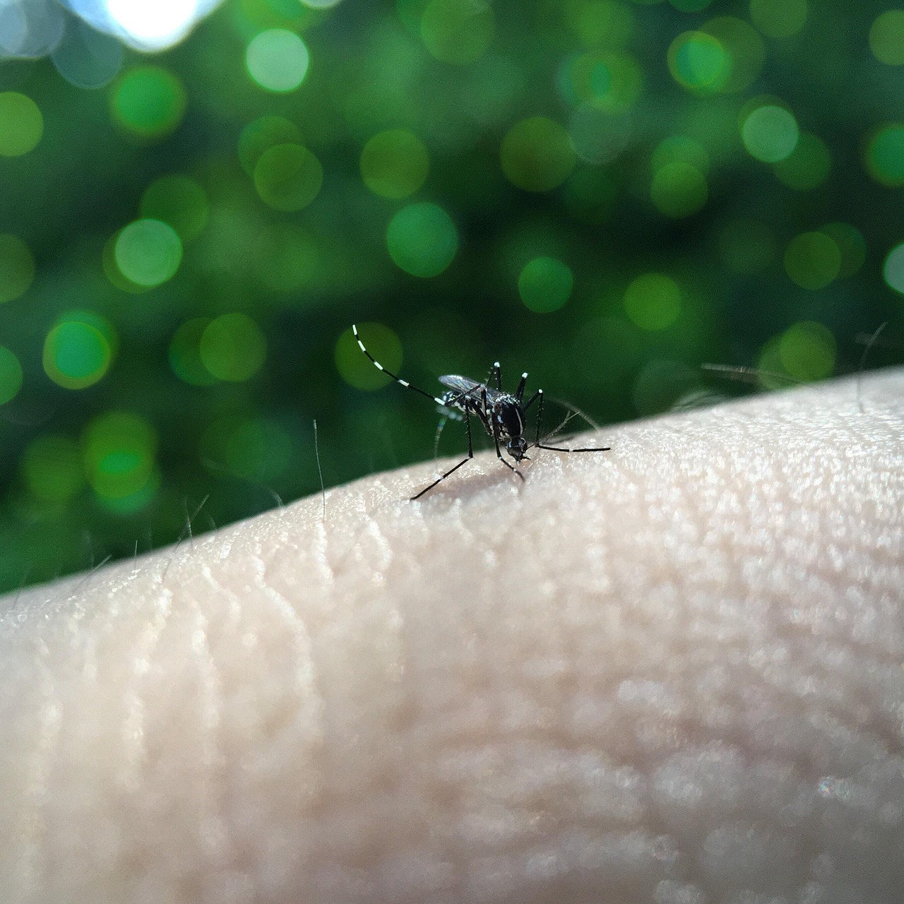 Prefeitura reforça importância dos cuidados contra a dengue mesmo com a queda nas temperaturas
