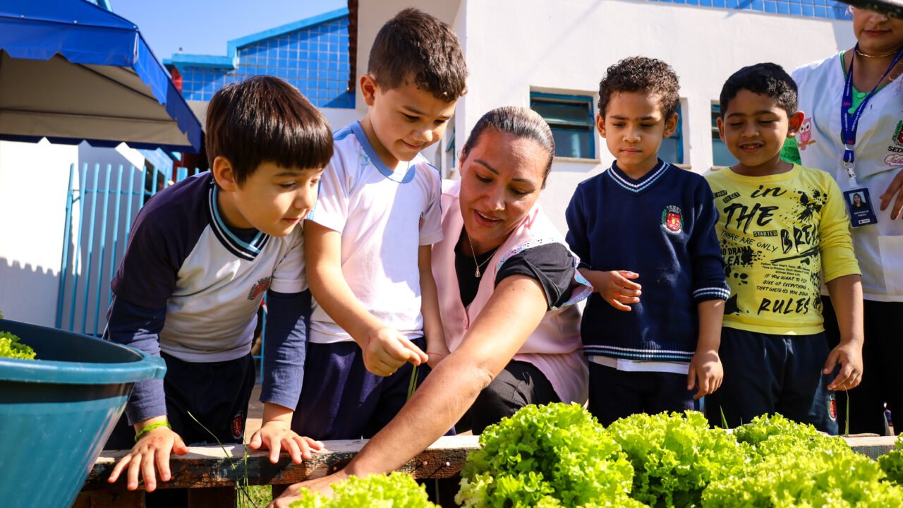 Alunos do Cmei Zilda Arns realizam primeira colheita de verduras na horta educacional