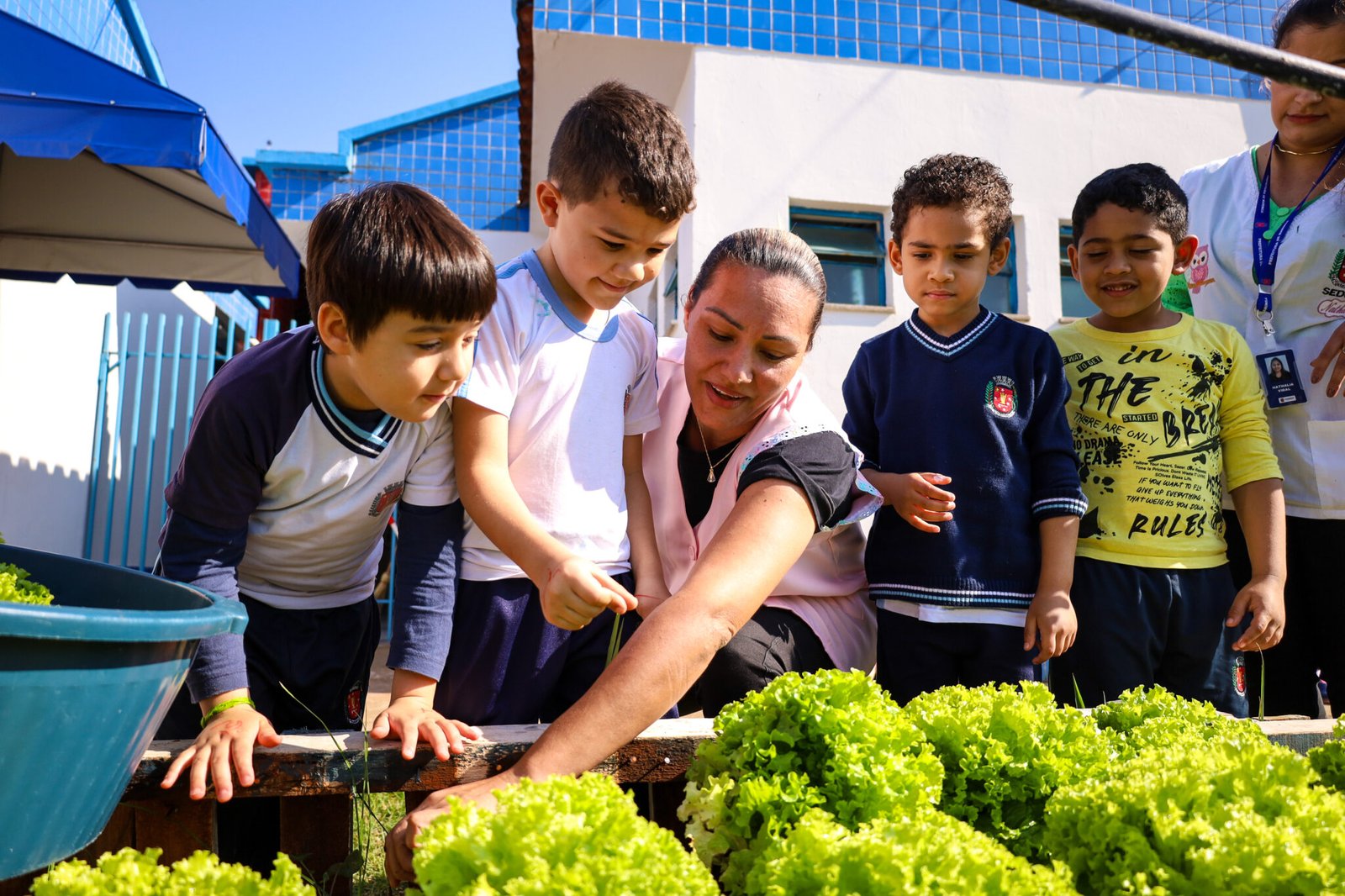 Alunos do Cmei Zilda Arns realizam primeira colheita de verduras na horta educacional