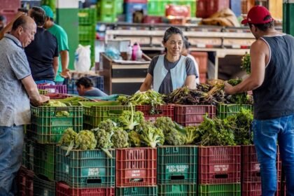 Anvisa Inicia Novo Ciclo de Análise de Agrotóxicos em Alimentos em 2025