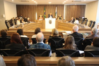 Audiência debate criação de semana de conscientização sobre o ruído no Paraná