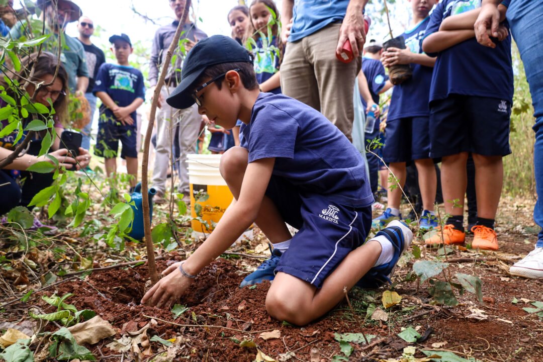 Bosque II recebe plantio de 30 mudas de árvores nativas