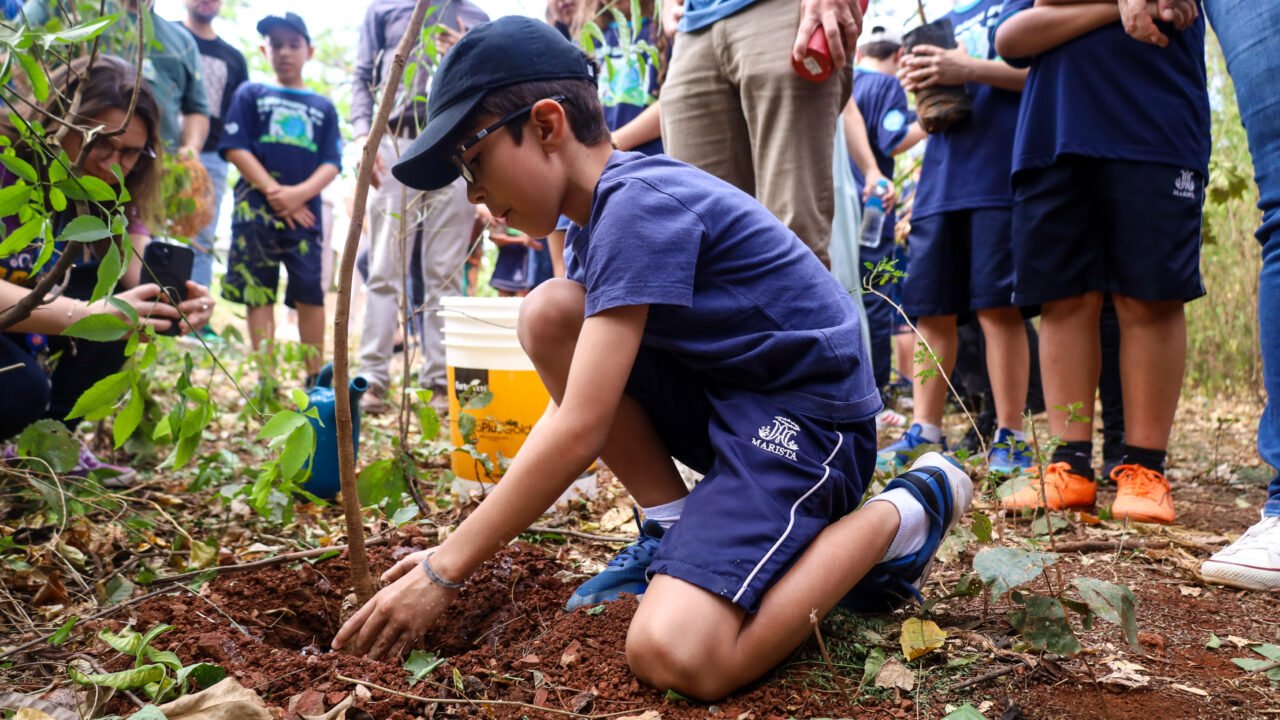 Bosque II recebe plantio de 30 mudas de árvores nativas