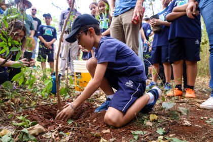 Bosque II recebe plantio de 30 mudas de árvores nativas
