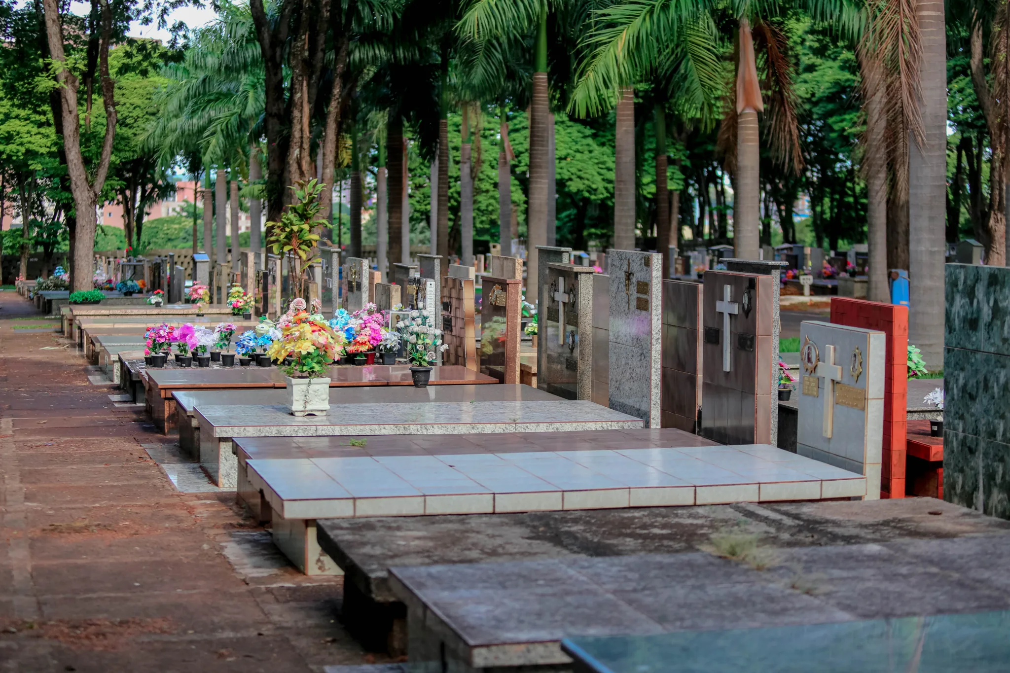 Furto em túmulos pode virar crime com punição pesada em Maringá