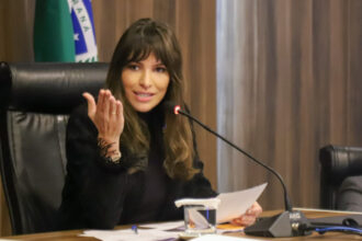 Deputada do Paraná, Maria Victoria (PP)