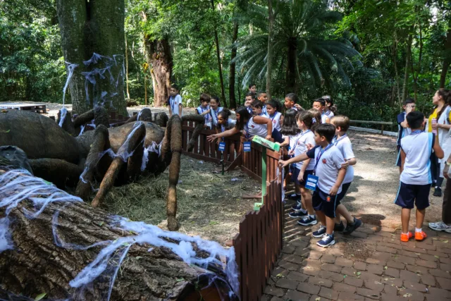 Exposição Primavera Encantada - Natureza Gigante, no Parque do Ingá
