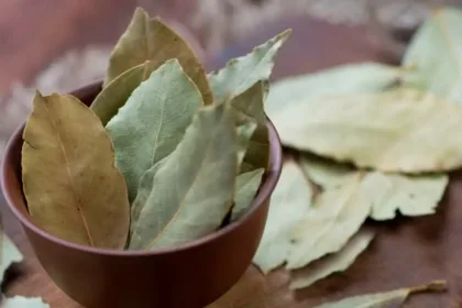 Os Benefícios de uma Infusão de Louro Noturna