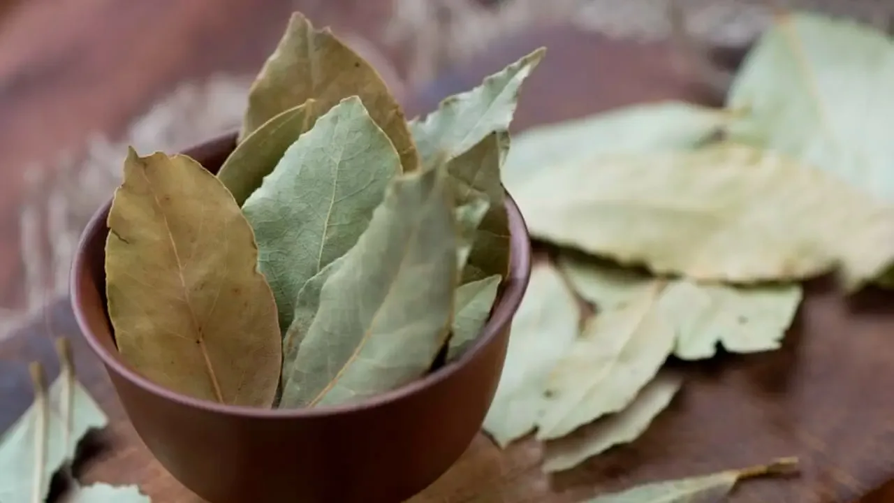 Os Benefícios de uma Infusão de Louro Noturna