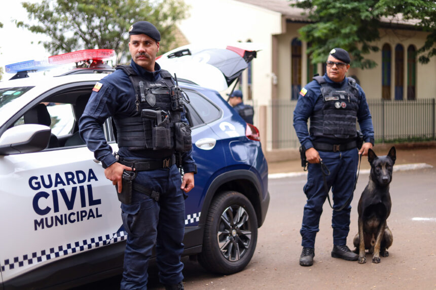 Segurança Pública