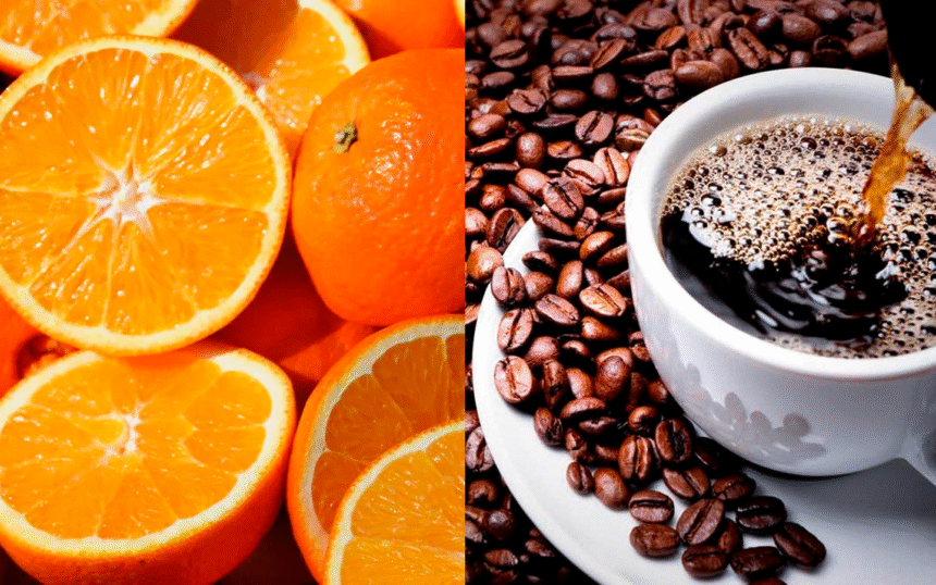 Laranja e Café