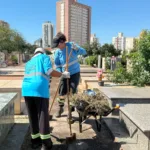 limpeza e manutenção do Cemitério Municipal