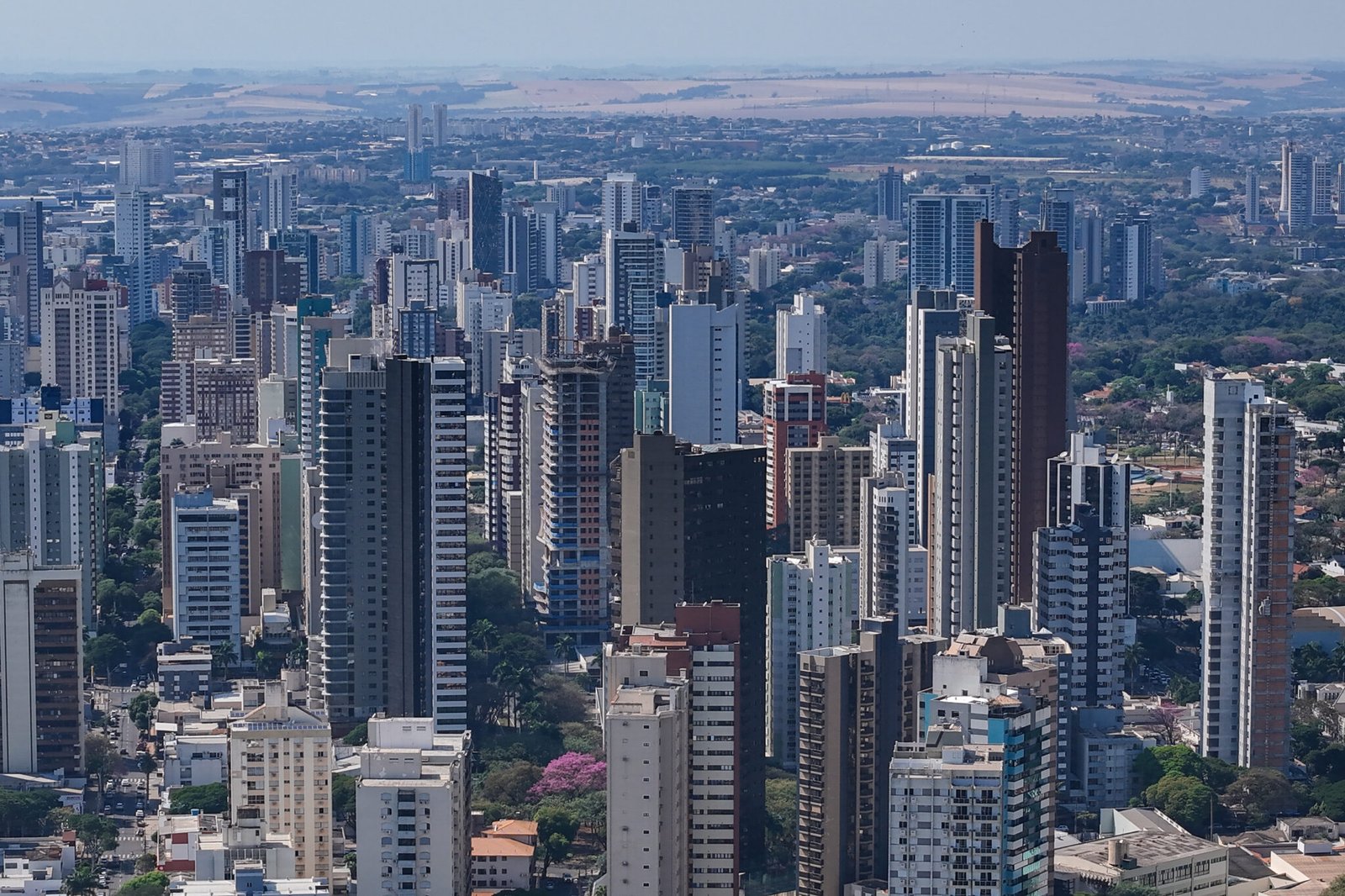 Prefeitura de Maringá vence Prêmio Gestor Público Paraná com ferramenta ‘AudTech ITBI’ e programa 'Educação: Consumo Consciente na Infância'