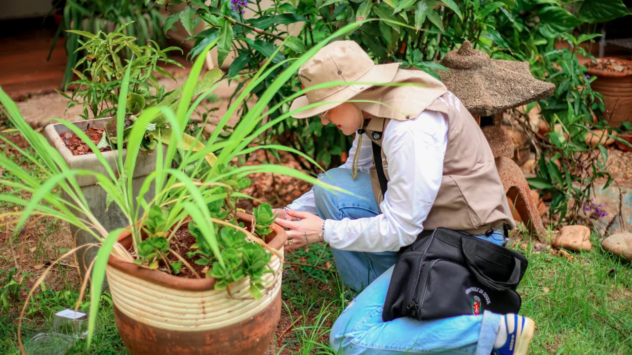 Prefeitura reforça importância das medidas de prevenção da dengue; 80% dos focos são encontrados no interior das residências
