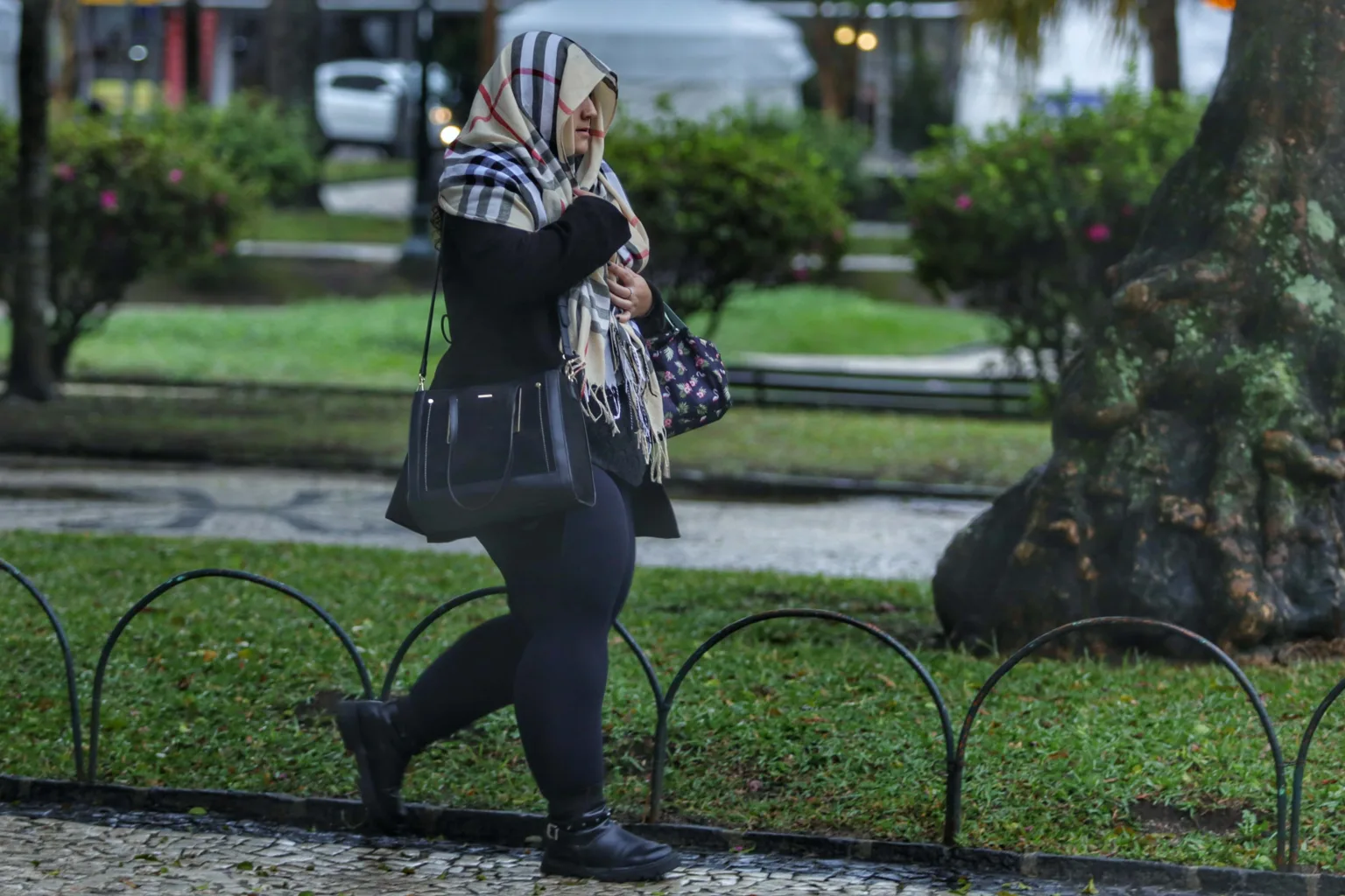 Prepare-se! Onda de frio intenso trará temperaturas congelantes perto de 0°C