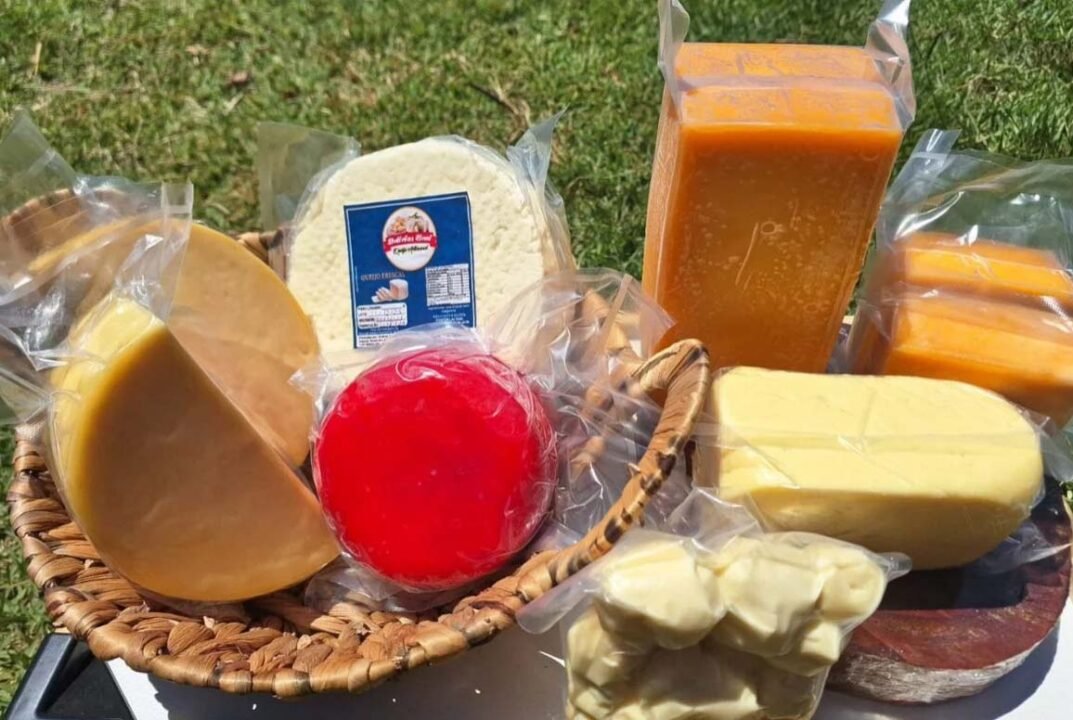 Com 165 medalhas, Paraná se destaca novamente no Prêmio Queijo Brasil Foto: Elzilene Dornelo/Arquivo Pessoal