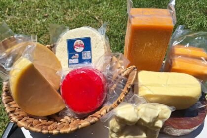 Com 165 medalhas, Paraná se destaca novamente no Prêmio Queijo Brasil Foto: Elzilene Dornelo/Arquivo Pessoal