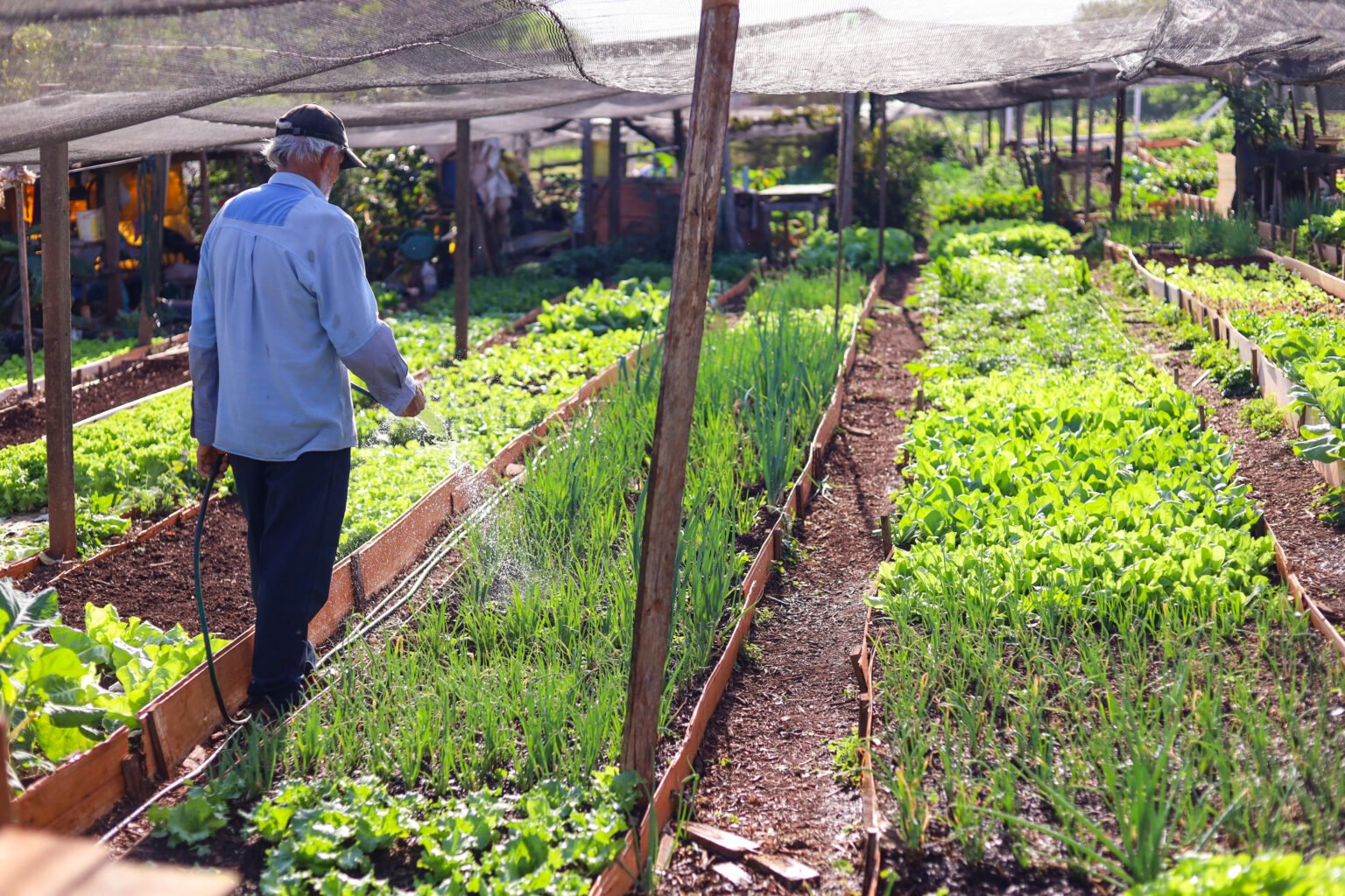 Projeto Hortas Comunitárias de Maringá
