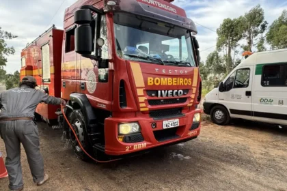 Rio Grande do Sul instala barreiras sanitárias para conter gripe aviária em Montenegro