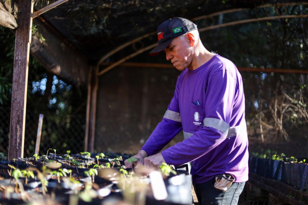 Maringá recupera seu "Coração Verde": Viveiro Municipal é recuperado e embeleza a cidade