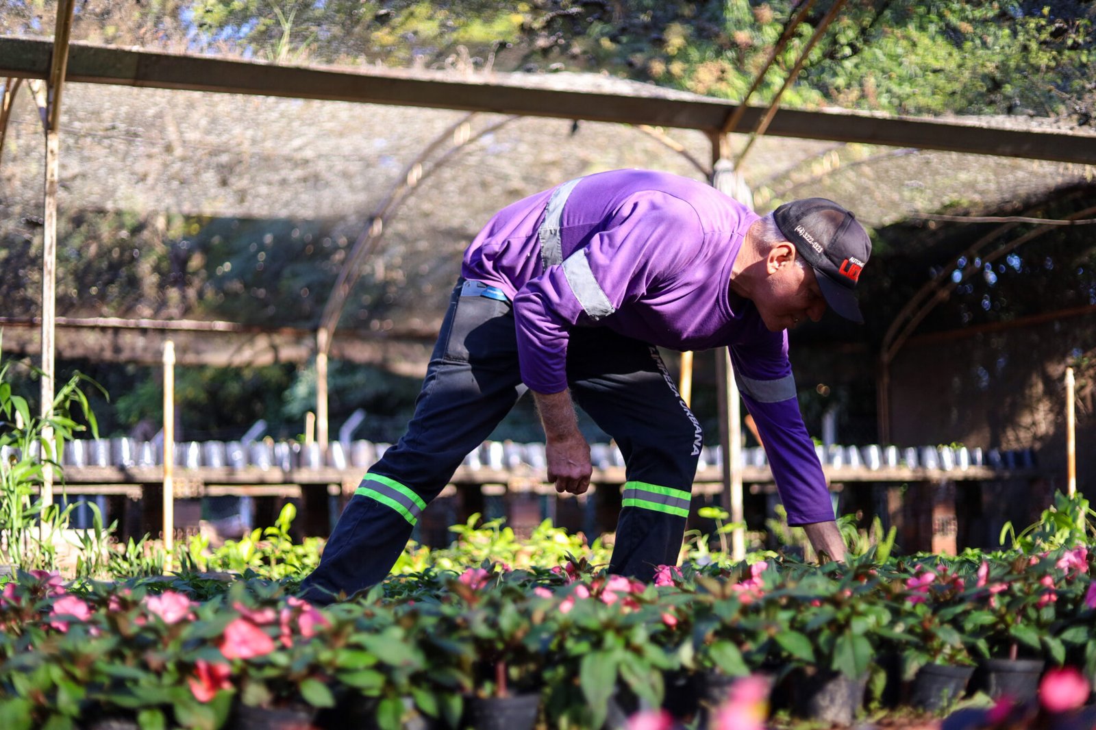 Maringá recupera seu "Coração Verde": Viveiro Municipal é recuperado e embeleza a cidade