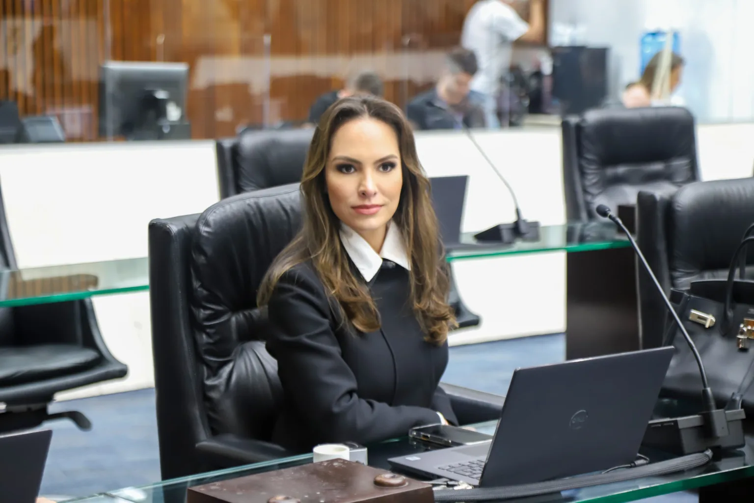 Deputada Estadual, Maria Victoria (PP)