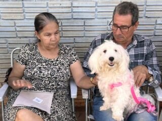 CastraPet Paraná conclui 4º ciclo e prepara nova fase para atender 100% dos municípios