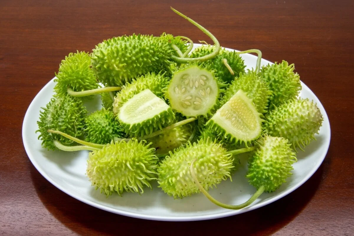 benefícios do maxixe