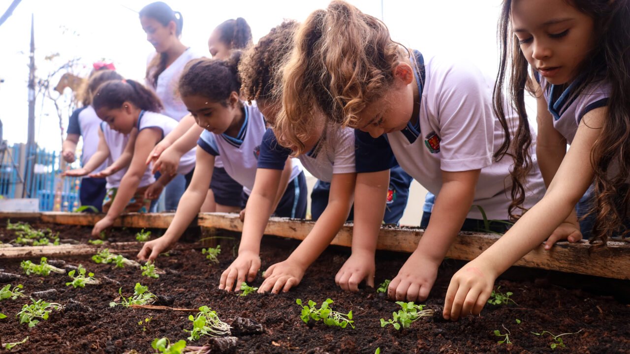 Alunos do Cmei Zilda Arns realizam segundo plantio de hortaliças na horta educacional